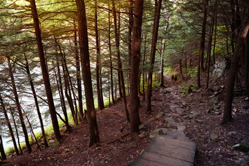 Stone staircase in dark forest with light coming from the top. Unrecognizable Couple climbing up in the distance. Concepts of a path, hope, pathway, journey
