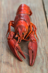Boiled red crayfish on a wooden chopping Board. Black background, top view, close up