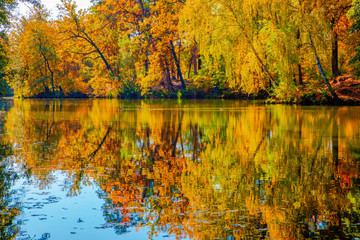 Fototapeta na wymiar beautiful autumn landscape with falling leaves in the lake