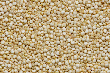 quinoa seed macro close up background texture