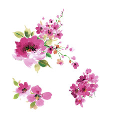 Flowers watercolor illustration.Manual composition.Big Set watercolor elements.