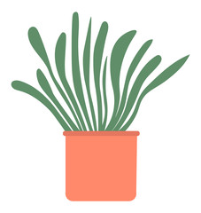 Home plant in pot isolated house interior decorative object. Vector evergreen tree in flowerpot, cartoon style palm growing in bucket, domestic exotic flower