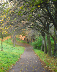 Beautiful cozy alley in the park. Princes Street Gardens, Edinburgh, Scotland