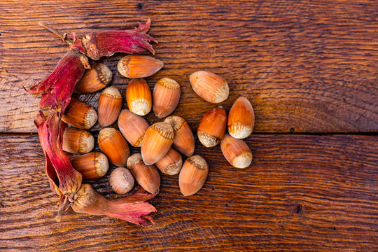 Red hazelnuts on a wooden board. Isolated hazelnuts.