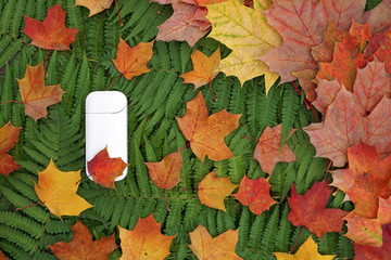 White IQOS battery  with  individual sticks lies on decorative abstract wooden texture with green,  yellow , red leaves of fern and maple