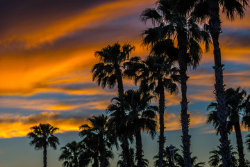 Fototapeta na wymiar Dramatic vibrant sunset scenery in Donna Victoria Palms RV Resort, Texas