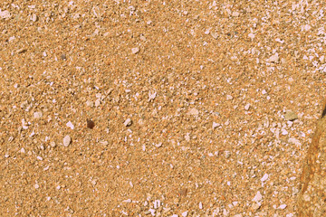Coral sand on the beach close up. Natural abstract background