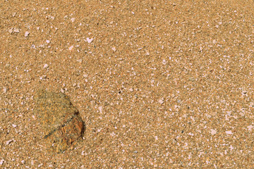 Coral sand on the beach close up. Natural abstract background
