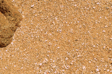 Coral sand on the beach close up. Natural abstract background