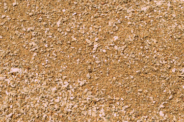 Coral sand on the beach close up. Natural abstract background