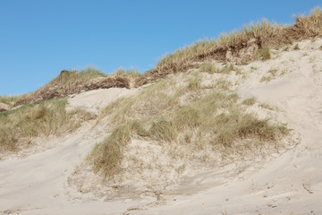 Sanddüne