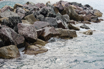 Frangiflutti
