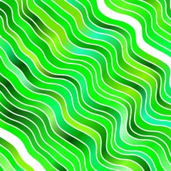Light Green vector backdrop with curves. Brand new colorful illustration with bent lines. Pattern for ads, commercials.