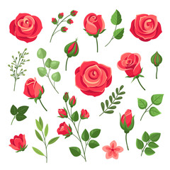 Red roses. Burgundy rose flower bouquets with green leaves and buds. Watercolor floral romantic decor. Isolated cartoon vector set. Pink and red blooming rose, branch floral blossom illustration