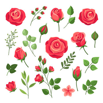 Cartoon Roses Images – Browse 105,223 Stock Photos, Vectors, and Video |  Adobe Stock