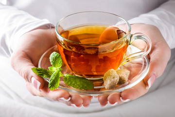 Hot cup of tea in woman hands. Tea in clear glass in beautiful hands with brown sugar and mint leaf. © Milan