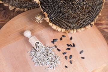 Obraz na płótnie Canvas Sunflower seeds on wooden surface, dry sunflower heads, top view
