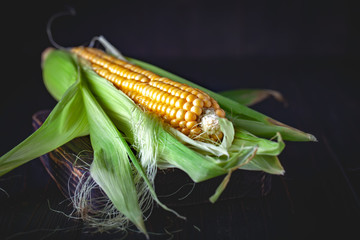 Fresh corn on cobs on rustic wooden table, closeup. Harvest Festival. Autumn background. Selective focus. Horizontal. Top view.