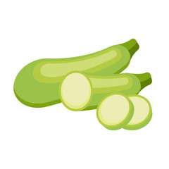 Green squash isolated on white background. Vector illustration.