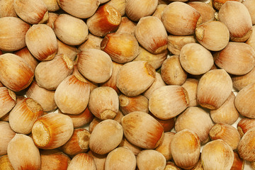 Hazelnut. Filbert Nuts for Background or Texture