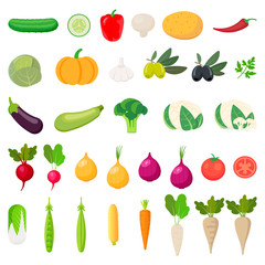 Vegetables icons. Collection farm product isolated on white background. Vector illustration.