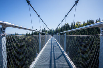Obraz premium cable bridge at Bad Wildbad south Germany