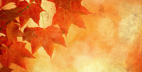 grunge background with autumn leaves