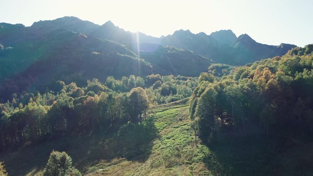 Aerial view of Caucasian national Park. drone flying over deep mixed forest between high silver firs. beautiful autumn landscape with valleys, trees crones, mountain range on background, evening time