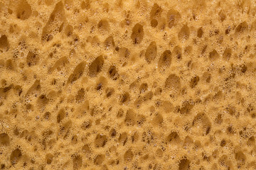 closeup texture of yellow sponge
