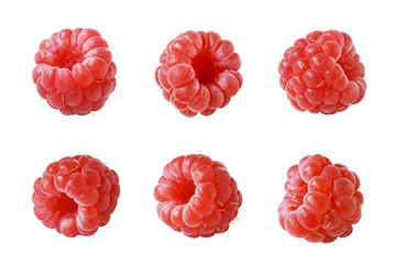 Raspberries Collection. Ripe Raspberry Isolated on White Background. Full Depth of Field, Red Berry Close-up