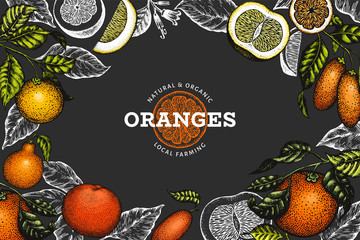 Citrus fruits design template. Hand drawn vector colour fruit illustration on dark background. Vintage citrus banner.