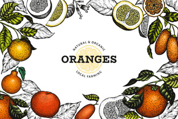 Citrus fruits design template. Hand drawn vector colour fruit illustration. Engraved style frame. Vintage citrus banner.