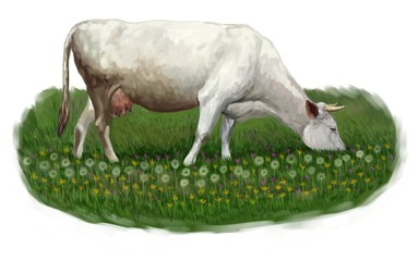 White cow grazing in a meadow illustration digital painting