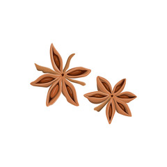Stars of anise isolated on the white background.
