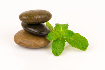 Fototapeta na wymiar Peppermint , green leaves have medicinal properties.