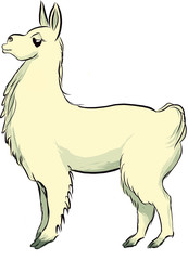 illustration of side view of single proud llama