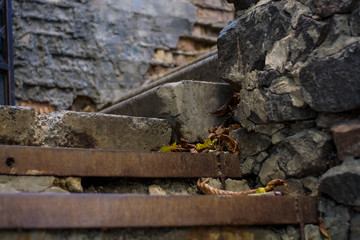 Background or texture of broken old, concrete steps on street with metal crossbars and fallen autumn, yellow leaves. Stone wall.