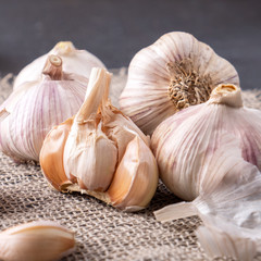 Garlic cloves and bulb on burlap background. Closeup