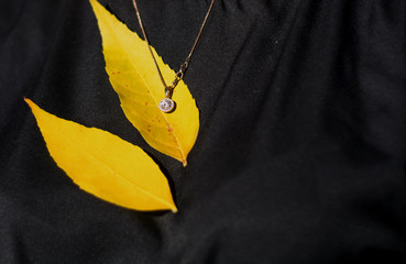 Young female hands with manicure and cute jewelry.