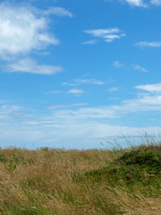 Obraz premium lonely landscape with green seaside meadow