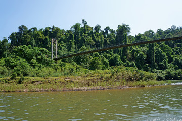 Small bridge across the river in the rainforest