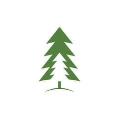 Cedar tree graphic design template vector isolated