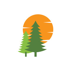 Cedar tree graphic design template vector isolated