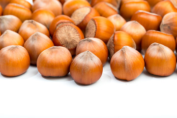 Hazelnuts isolated on white background - Image