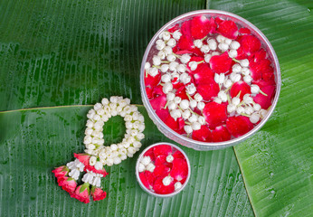 Jasmine and roses in silver bowl on leaves of banana background ,Songkran festival in Thailand
