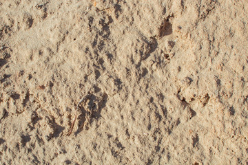 Fine sand texture. Brown sand background. Top view