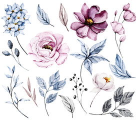 Watercolor flowers and leaves set. Blue and pink colors. Floral illustration isolated on white background. Hand drawing. Clip art perfectly for wedding, birthday, party and other greetings design.  © Larisa