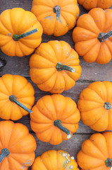 Pumpkins. Orange. Agriculture. Autumn. Vibrant Colors. Decor
