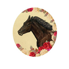 Portrait of a horse .Composition in oval, retro style .illustration digital painting