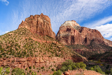 Nature at Zion National Park USA